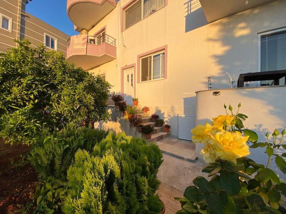 Guesthouse Xhimi Ксамил Экстерьер фото